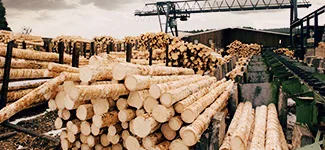 An Incredibly Intuitive Wootimber Wooden Website - c7娱乐